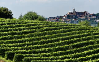 Un Natale…Rosso Barbera!