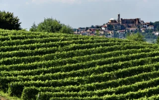 Un Natale…Rosso Barbera! 7 Un Natale…Rosso Barbera!