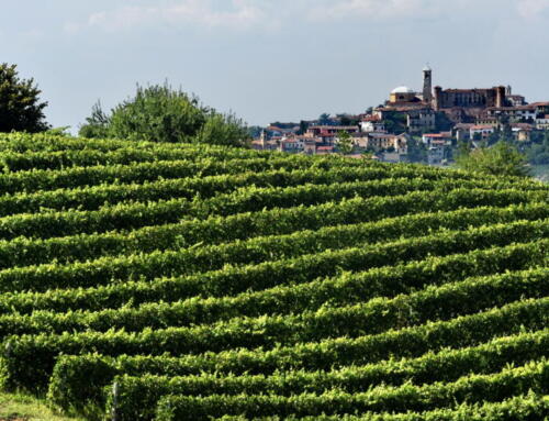 Un Natale…Rosso Barbera!
