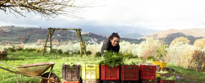 Immersa nelle verdi campagne del Monte Palo, Casa Iuorio essenza genuina di un territorio 7 Immersa nelle verdi campagne del Monte Palo, Casa Iuorio essenza genuina di un territorio