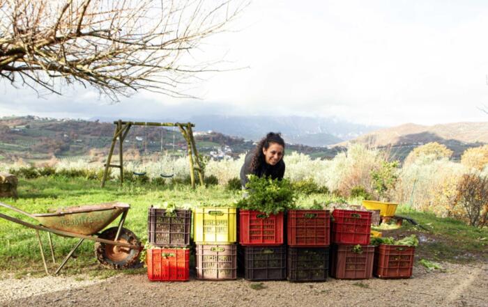 Immersa nelle verdi campagne del Monte Palo, Casa Iuorio essenza genuina di un territorio