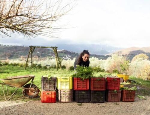 Immersa nelle verdi campagne del Monte Palo, Casa Iuorio essenza genuina di un territorio