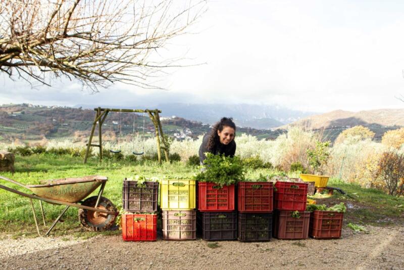 Immersa nelle verdi campagne del Monte Palo, Casa Iuorio essenza genuina di un territorio