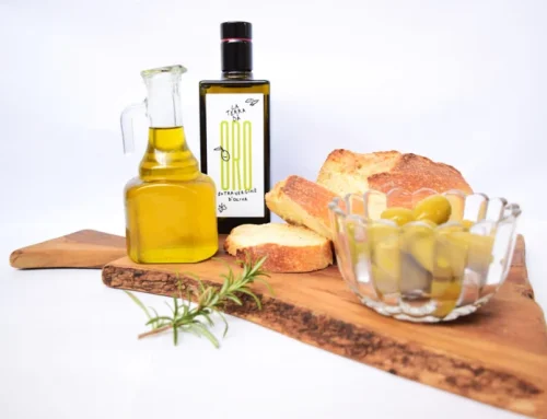 La Terra Dà: il gusto autentico del Cilento tra tradizione e innovazione