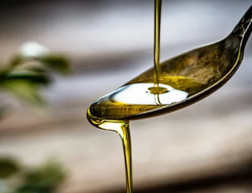 Lady Oil: quando l’olio extravergine delle colline salernitane diventa un’elegante esperienza gastronomica
