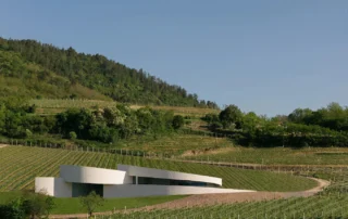 Il Guggenheim italiano esiste: si chiama Cantina Moncalisse