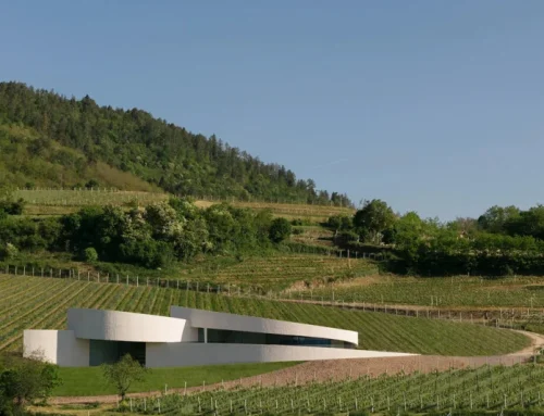 Il Guggenheim italiano esiste: si chiama Cantina Moncalisse