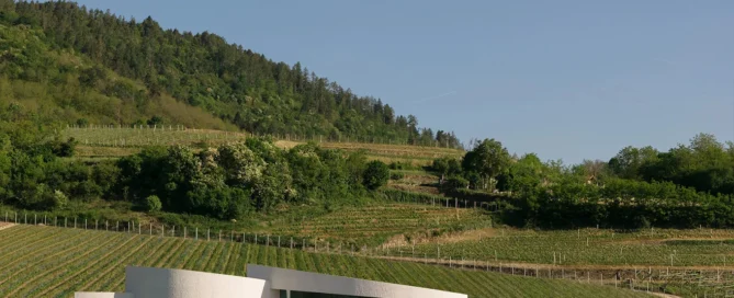 Il Guggenheim italiano esiste: si chiama Cantina Moncalisse 6 Il Guggenheim italiano esiste: si chiama Cantina Moncalisse