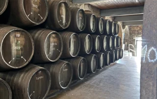 Porto Vasconcellos, una piccola cantina nel cuore di Vila Nova de Gaia 2 Porto Vasconcellos, una piccola cantina nel cuore di Vila Nova de Gaia