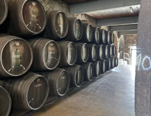 Porto Vasconcellos, una piccola cantina nel cuore di Vila Nova de Gaia