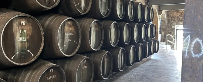 Porto Vasconcellos, una piccola cantina nel cuore di Vila Nova de Gaia 3 Porto Vasconcellos, una piccola cantina nel cuore di Vila Nova de Gaia