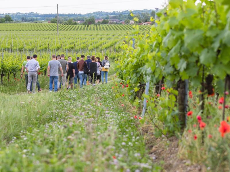 Festival Franciacorta 2026: 10 eventi imperdibili tra cantine, degustazioni e sapori del territorio 3 Festival Franciacorta 2026: 10 eventi imperdibili tra cantine, degustazioni e sapori del territorio