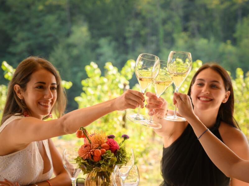 Festival Franciacorta 2026: 10 eventi imperdibili tra cantine, degustazioni e sapori del territorio Festival Franciacorta 2026: 10 eventi imperdibili tra cantine, degustazioni e sapori del territorio