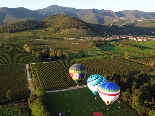 Villa Franciacorta il vino che nasce dall’equilibrio con il territorio 4 Villa Franciacorta il vino che nasce dall’equilibrio con il territorio