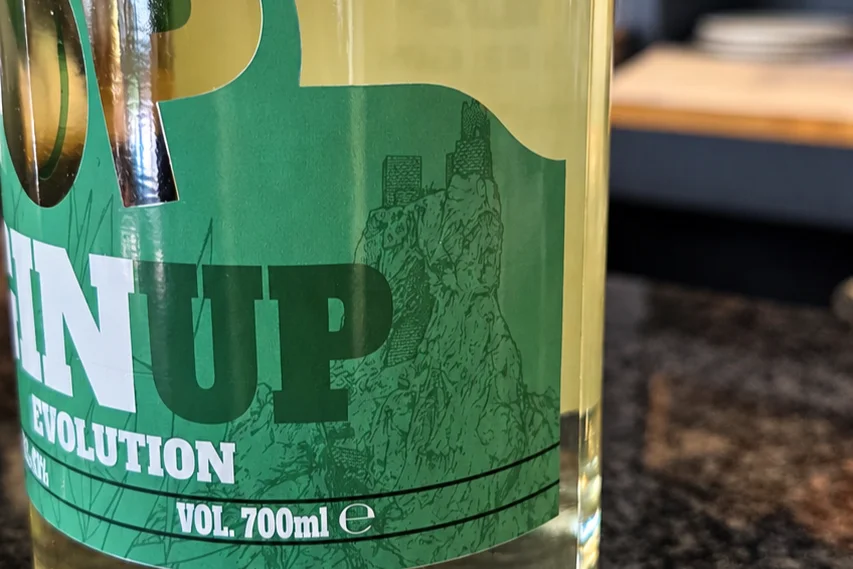GinUp, il pistacchio siciliano diventa gin: la scommessa innovativa della startup nissena FastucUP 2 GinUp, il pistacchio siciliano diventa gin: la scommessa innovativa della startup nissena FastucUP